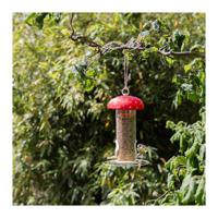 Voedersilo vliegenzwam - thumbnail