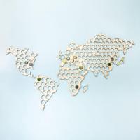 Bierdopjes Wereldkaart - thumbnail