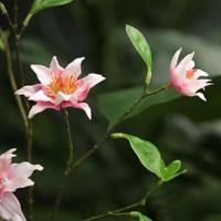 Clematis Kunsttak 92cm Roze - thumbnail