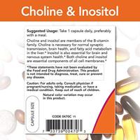 Choline en Inositol 500mg 100v-caps - thumbnail
