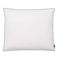 VidaXL Kussens 2 st zwaar 70x60 cm dons-/verenvulling wit - thumbnail