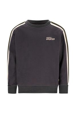 Like Flo winter sweater jongens - grijs - Dail