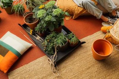 Fiskars 1071304 plantenmat, opvouwbaar 1 stuk(s)