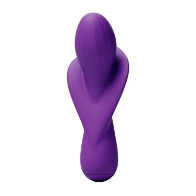 Vibrator NS Novelties Gold-n-Dreams Paars