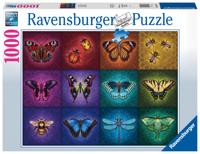 Ravensburger Gevleugelde dieren - thumbnail