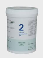 Pfluger Celzout 02 Calcium Phosphoricum D6 Tabletten 1000st - thumbnail