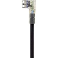 Escha 8045345 Sensor/actuator connector, geassembleerd M8 Aantal polen (sensoren): 4 Bus, haaks 2.00 m 1 stuk(s) - thumbnail