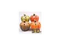 Season Inspired Decoration Pompoen met led verlichting h14cm - thumbnail
