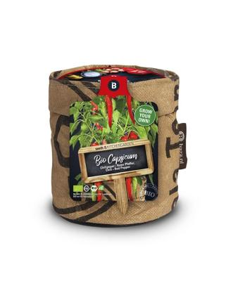 Seeds & Keukentuintje bio chilipeper Seeds & Keukentuintje bio chilipeper