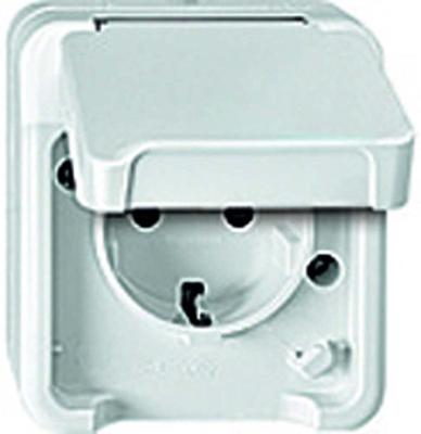 Merten 4074946 AquaStar Compleet Wandcontactdoos met randaarde en klapdeksel spatwaterdicht Polar-wit 2-voudig 1 stuk(s)