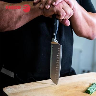 Messen Set Fagor FUTURE Roestvrij staal