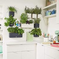 Lechuza Green Wall Home Kit Leisteengrijs - thumbnail