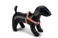 BZ NYL BORSTT TRIANGLE LGRS46-75X20 - thumbnail