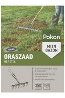 Pokon graszaad herstel 250 gram - thumbnail