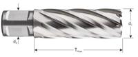 Rotec HSS Kernboor SILVER-LINE, weldon 19, ø16x55 - 536.1601W - thumbnail