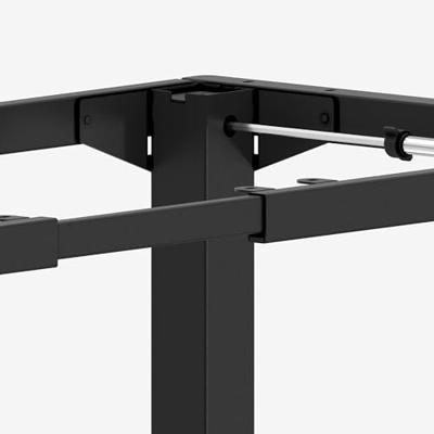 Elektrisch frame Xeno 5.0 Black