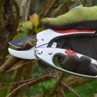 Connex Snoeischaar Met Hefboom 205 Alu 12 - FLOR70361 - thumbnail