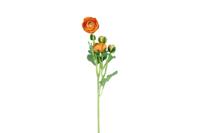Decostar zijdebloem Ranunculus 53 cm oranje - thumbnail