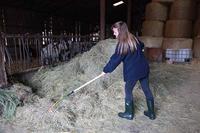 MM Eurotool Polyhark recht 16tds los - thumbnail