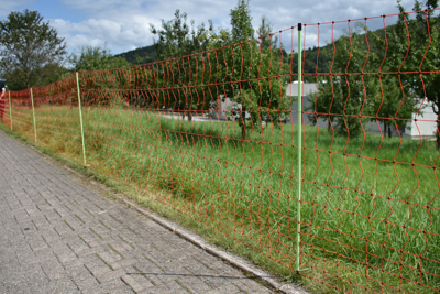 Euro-Netz Combi Pluimvee 112 cm dubbelpunt Euro-Netz Combi Pluimvee 112 cm dubbelpunt