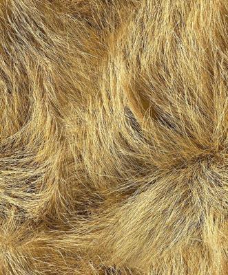 Noordwand Textura Behang met duingras - 1545769