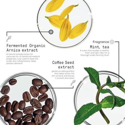 Framesi Morphosis Destress Serum 100ml