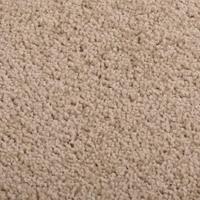 VidaXL Vloerkleed kortpolig 80x150 cm bruin - thumbnail