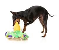 Fuzzyard octo-posse octo the outrageous pluche - thumbnail