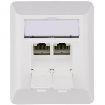 Telegärtner 100023002 Netwerkdoos Opbouw (op muur) CAT 6A 2 poorten Alpine-wit
