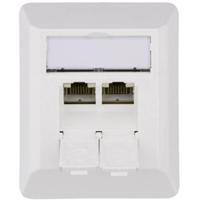 Telegärtner 100023002 Netwerkdoos Opbouw (op muur) CAT 6A 2 poorten Alpine-wit - thumbnail