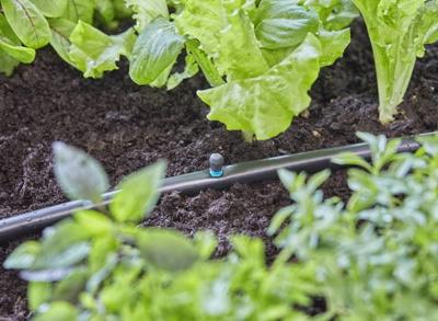 GARDENA Micro-Drip system 13320-20 Sproeikop 13 mm (1/2) Ø GARDENA Micro-Drip system 13320-20 Sproeikop 13 mm (1/2) Ø