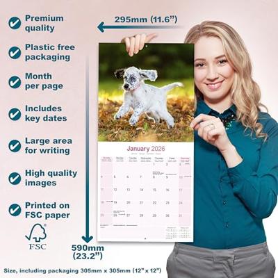 Engelse Setter Kalender 2026 Engelse Setter Kalender 2026