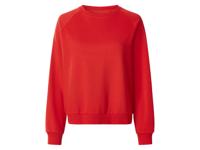 esmara Dames trui (Rood, XS (32/34)) - thumbnail