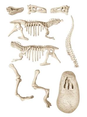 Educatief Spel Clementoni Arqueojugando T-Rex 15 x 21 x 5,5 cm