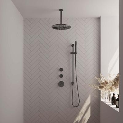 Regendoucheset Inbouw Brauer Gunmetal Carving Thermostatisch 30 cm met Plafondarm, Glijstang en Handdouche Staaf Losse Stopkranen Geborsteld Gunmetal Regendoucheset Inbouw Brauer Gunmetal Carving Thermostatisch 30 cm met Plafondarm, Glijstang en Handdouche Staaf Losse Stopkranen Geborsteld Gunmetal