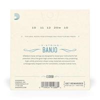 D&apos;Addario EJS60 Stainless Steel Light 10-20 snaren voor vijfsnarige banjo - thumbnail
