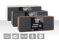 Imperial DABMAN i200CD Internetradio DAB+, VHF (FM), Internet Bluetooth, DLNA, WiFi, AUX, Internetradio Geschikt voor DLNA Hout - thumbnail
