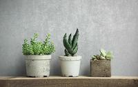 Novamur TopChic 2023-2025; Jackie Behang met metallic beton cirÃ© structuur - 6826-30 - thumbnail