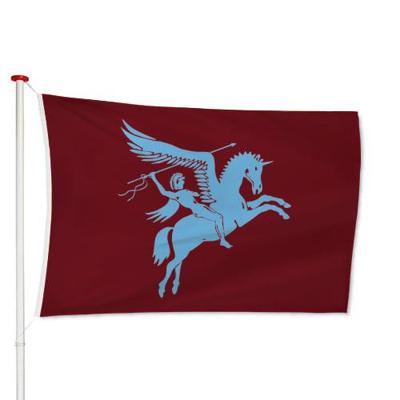 Airborne Vlag Airborne Vlag
