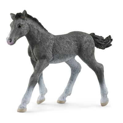 Schleich horse club trakehner veulen 13944