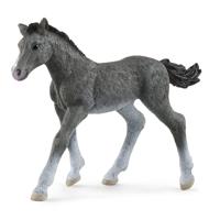 Schleich horse club trakehner veulen 13944 - thumbnail