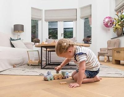 Joueco The Wildies Family treinset met dieren