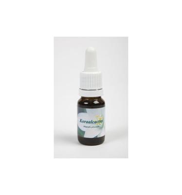 Star Remedies Koraalcactus 10 Milliliter