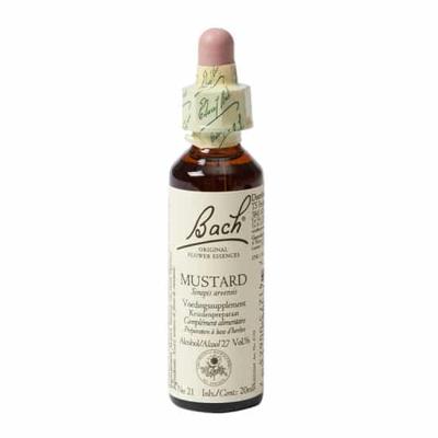 Bach Flower Remedies Herik 21 Bach Flower Remedies Herik 21