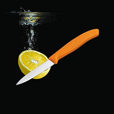 Victorinox 6.7606.L119 Groentemes Oranje