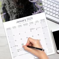 Bouvier Kalender 2026 - thumbnail