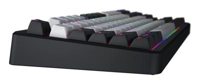 Hator Rockfall 3 TKL Wireless, gaming toetsenbord (Zwart, US lay-out, RGB, PBT keycaps, Hotswap, 2.4 GHz / Bluetooth / USB-C)
