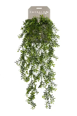 Kunsthangplant Buxus hangend 75cm groen