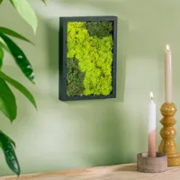 Mosschilderij Rechthoek - M - thumbnail