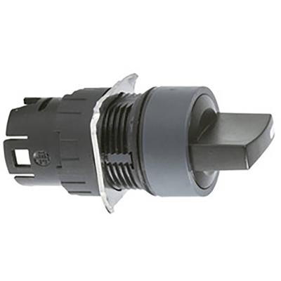 Schneider Electric ZB6AD25 Frontelement voor keuzeschakelaar 1 stuk(s)